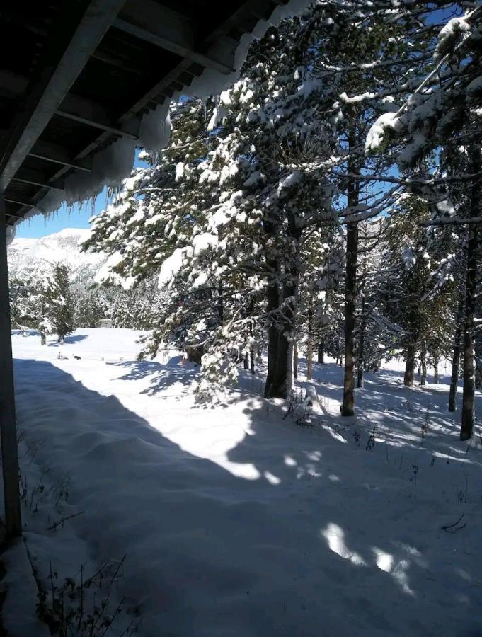 Apartamento En El Pirineo Catalan Sant Jordi de Cercs エクステリア 写真