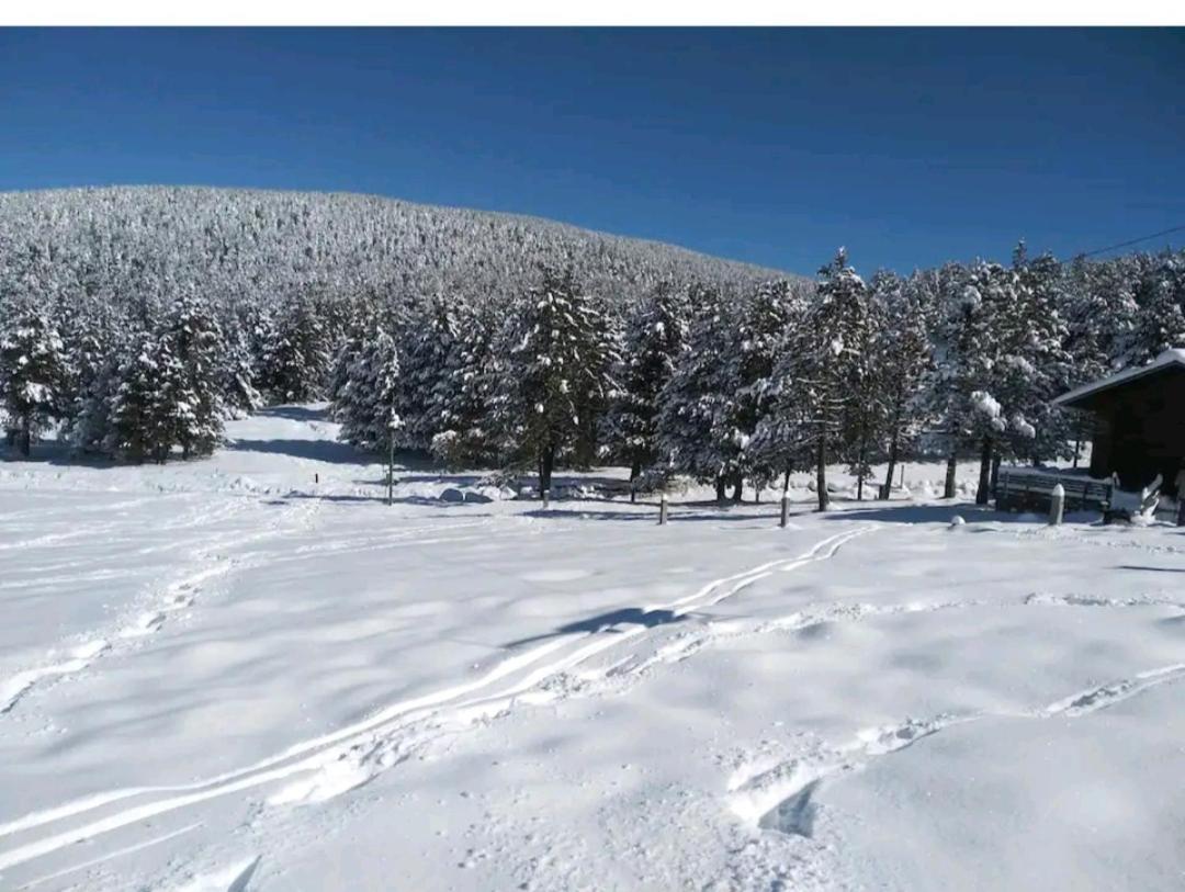 Apartamento En El Pirineo Catalan Sant Jordi de Cercs エクステリア 写真
